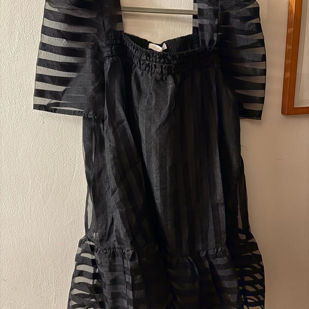 ShopEvelynne Black Sheer Dress